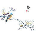 停留的鸟儿
