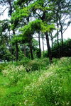 东湖2