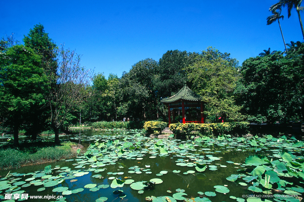 台灣 植物園