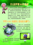 H1N1展板2