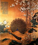 国画孔雀开屏