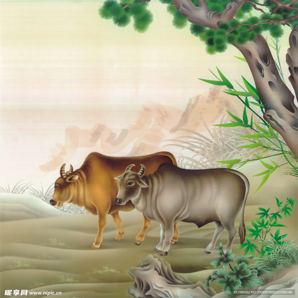 挂历牛图片