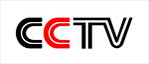 CCTV标志