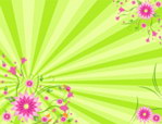 花纹
