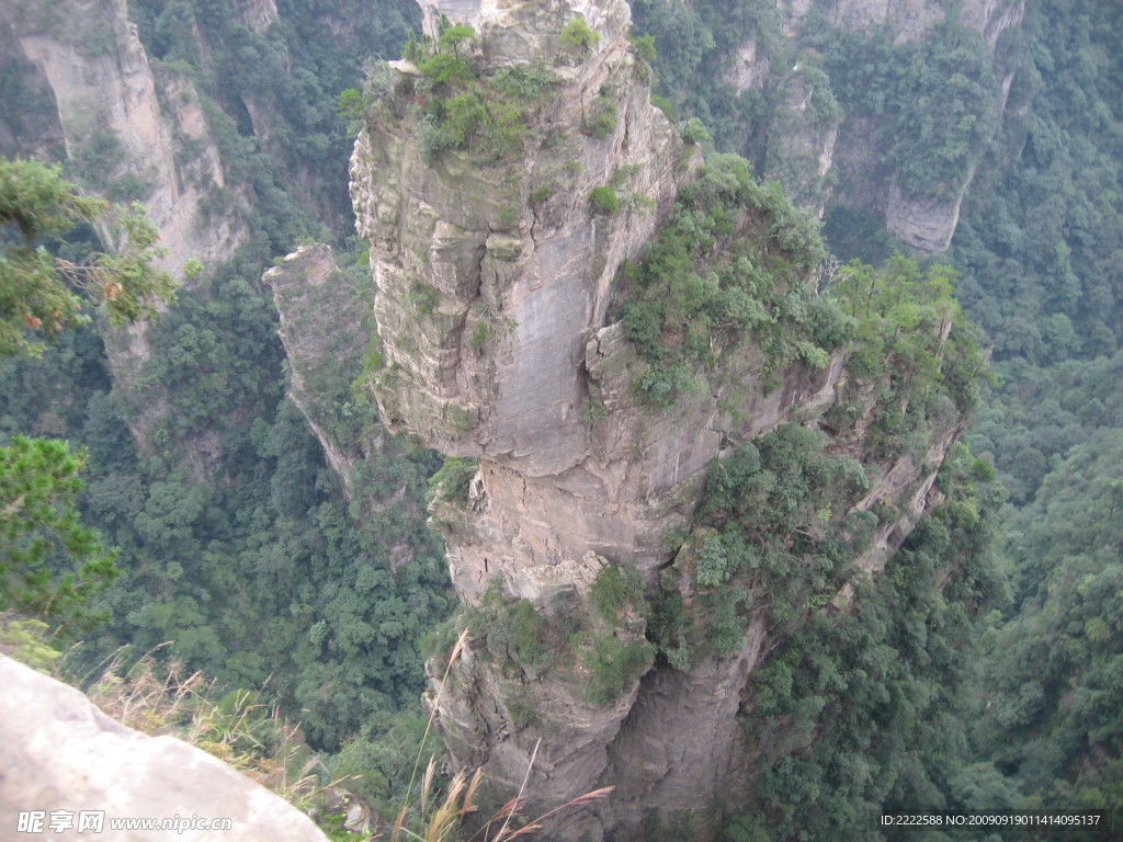 风景