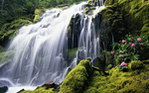 青山绿水
