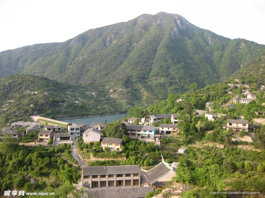 温州茶山