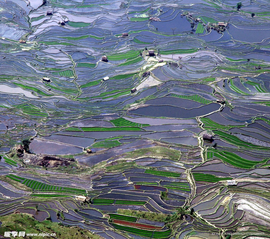 乡村风景