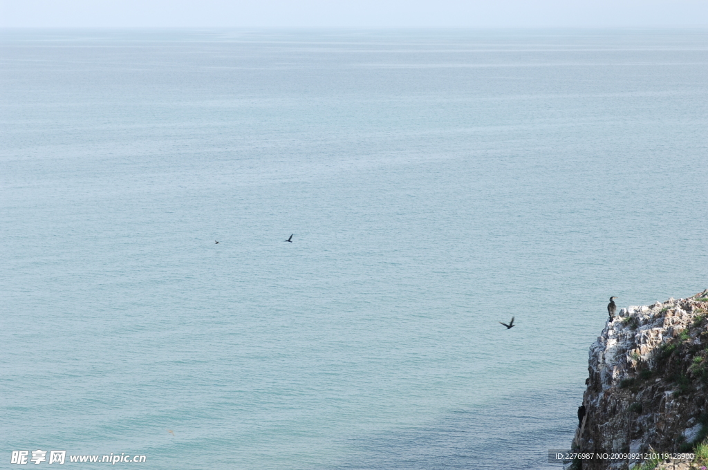 青海湖鸟岛