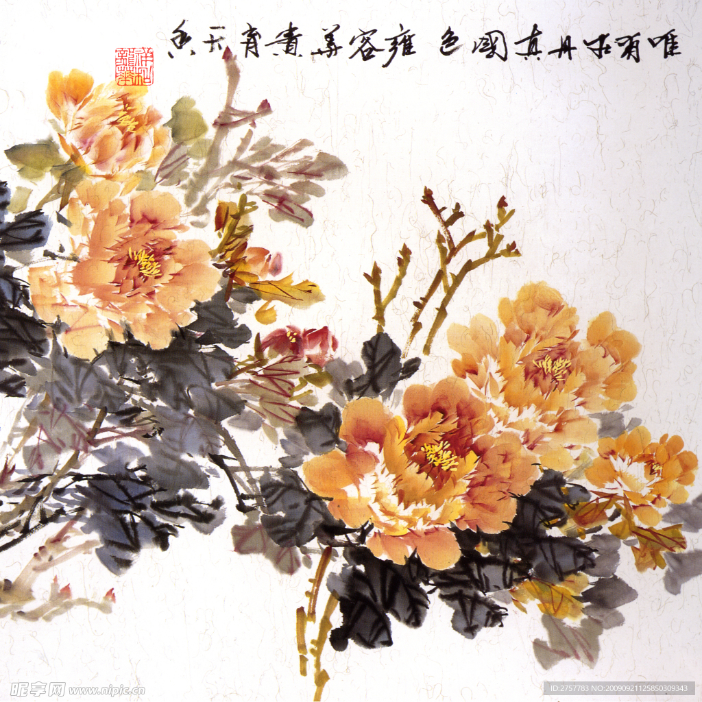 黄牡丹