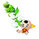 棉花 娃娃 丰收