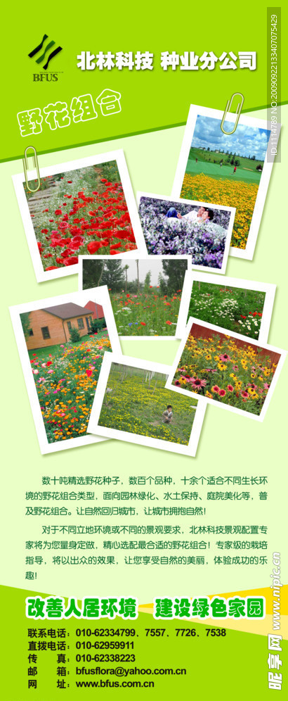 花卉易拉宝