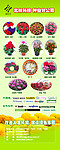 花卉 展览