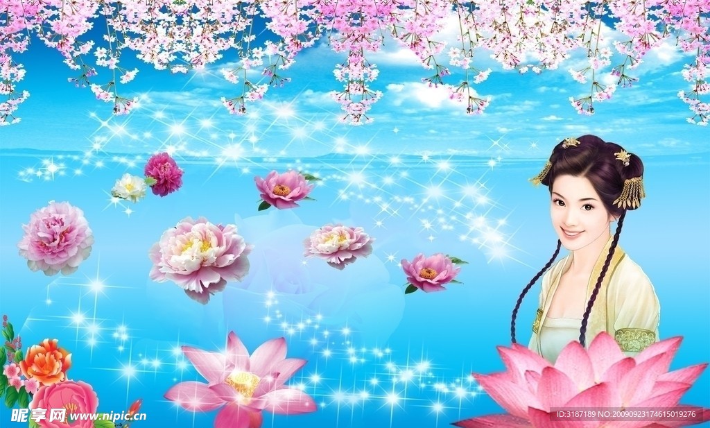 荷花 美女