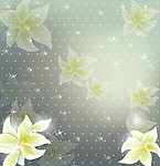 白花