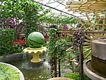 农家院