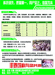 丰泰饲料宣传彩页反面