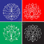 荷花