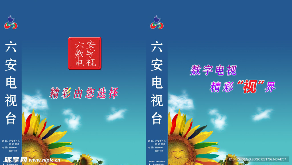 手提袋 向日葵 电视台 六安