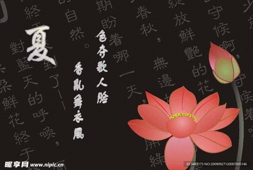 荷花