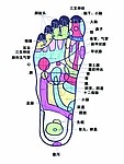 脚穴挂 脚 穴位 展板 医疗 保健 生活百科 医疗保健