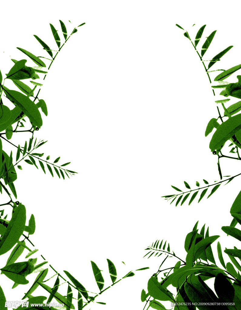 植物边框高清图片