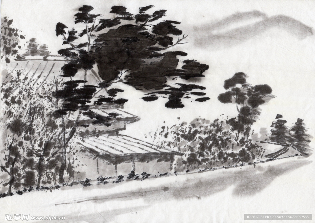 国画