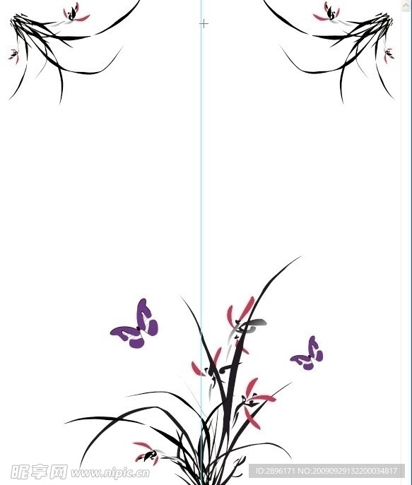 兰花