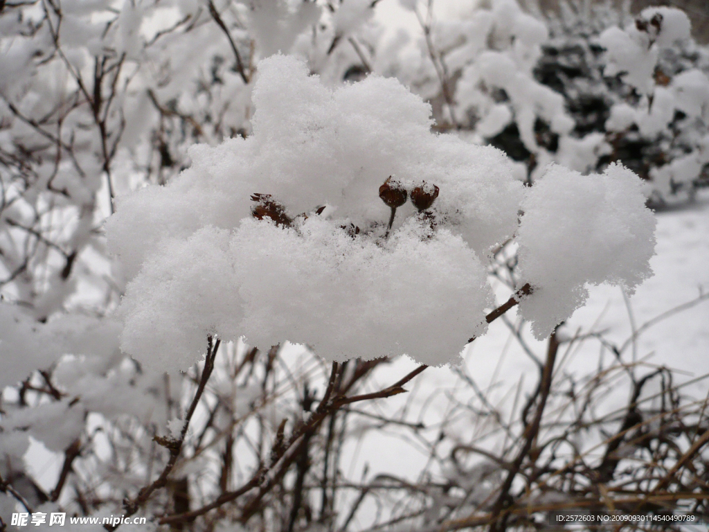 雪景近照