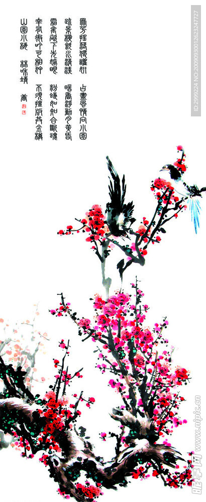 梅花