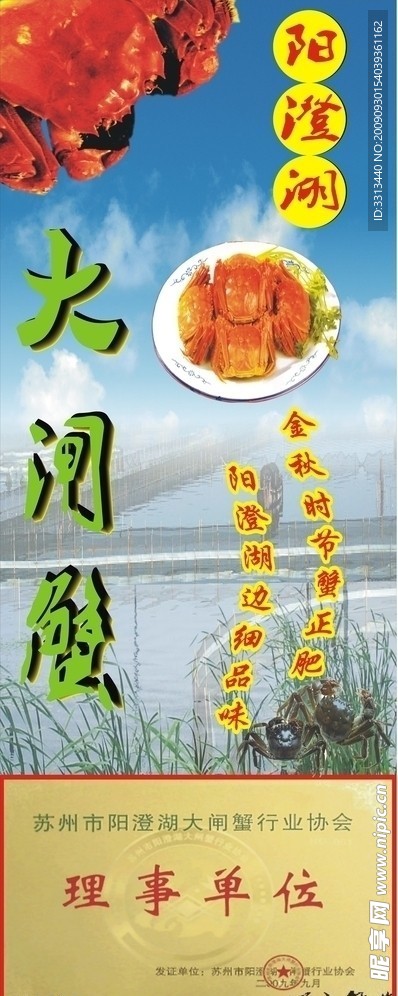 阳澄湖大闸蟹