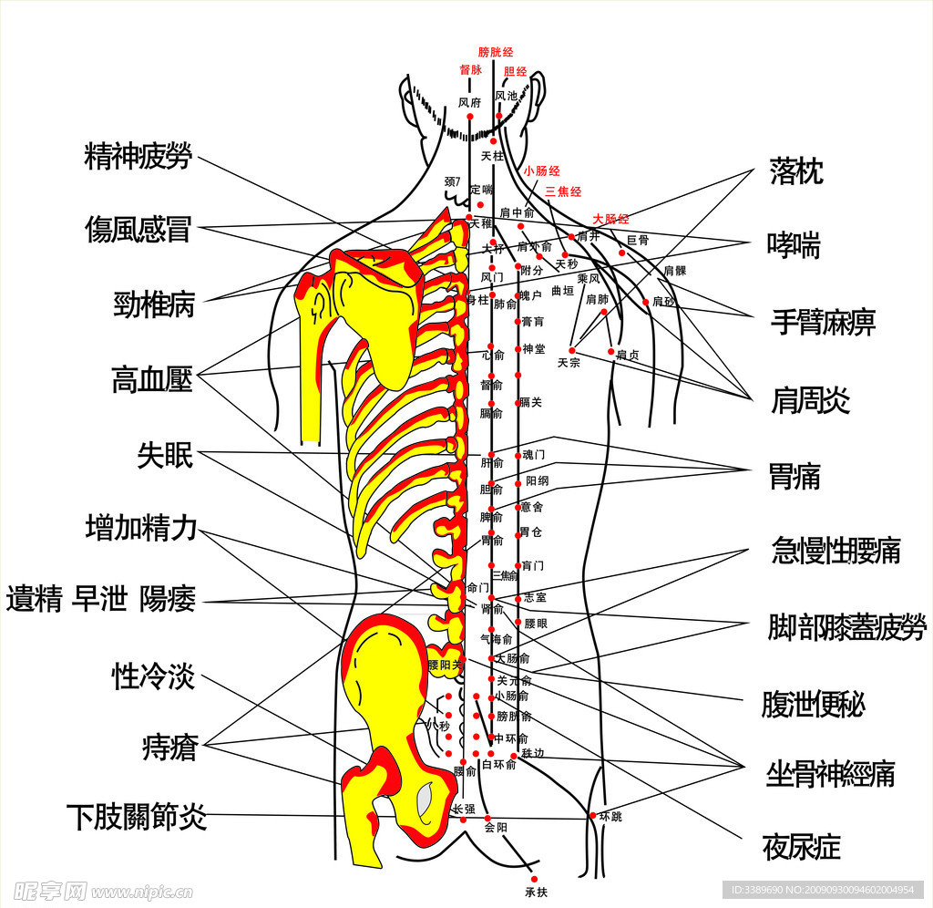 后背疼痛位置图详解 -世界十大之最