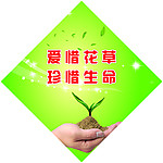 花草牌