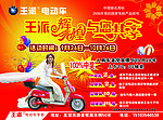 王派电动车