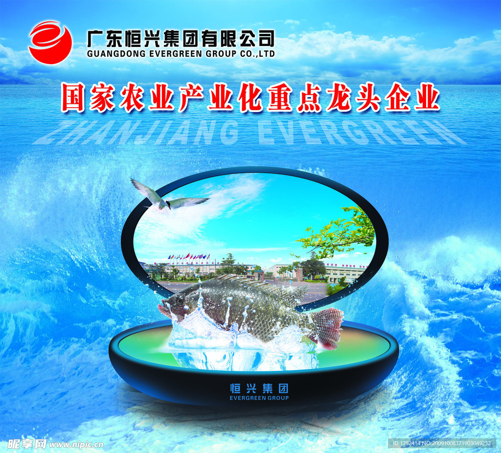 恒兴集团 海水的画面