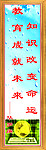 校园文化