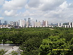 鸟瞰深圳中心公园及岗厦