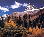 四姑娘山