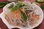 鱼皮海蜇