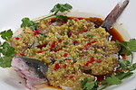 美极鮠鱼