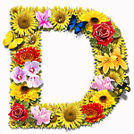 PSD花朵合成字母