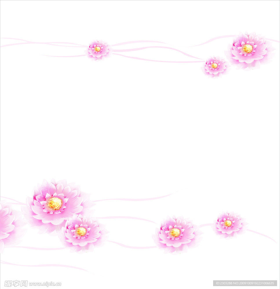 莲花