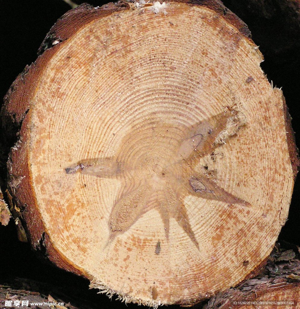 高像素木纹材质