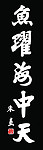 鱼跃海中天