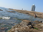 青岛第二海滨浴场