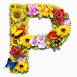 PSD花朵合成字母