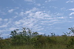 龙风山
