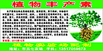 植物丰产素