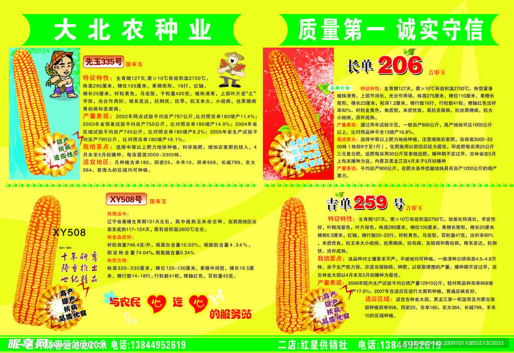 玉米 种子 说明