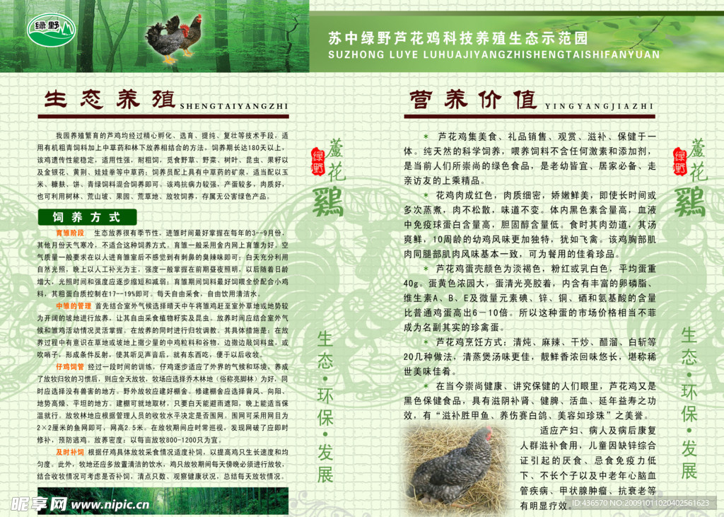 生态养殖 营养价值